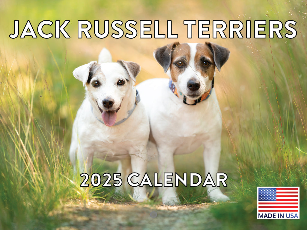 Jack Russell Terrier Calendar 2025 Monthly Wall Calender 12 Month | Made In The USA 261682