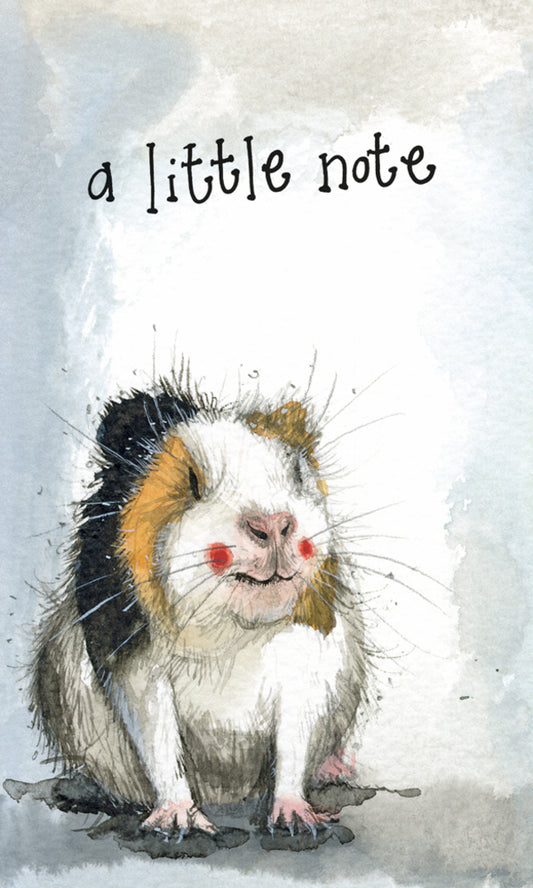 NOTELET (PACK OF 5) NC48