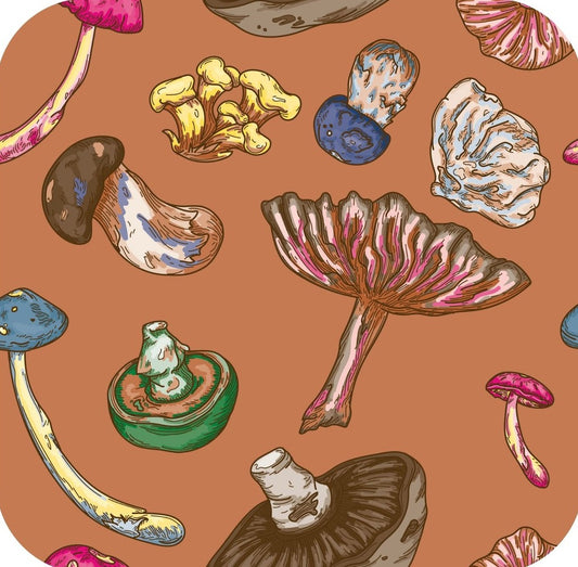 Psychedelic Forest Mushrooms Brown Premium Drink Coaster Resin With Cork Backing 261929 74914 261929