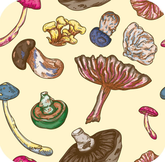 Psychedelic Forest Mushrooms Cream Premium Drink Coaster Resin With Cork Backing 261930 74915 261930