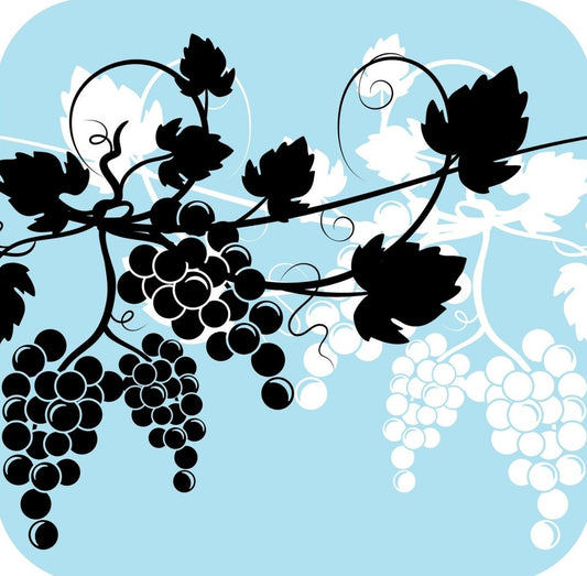 Grapes And Wine Pattern In Light Blue Black And Black V2 Premium Drink Coaster Resin With Cork Backing 261982 74967 261982