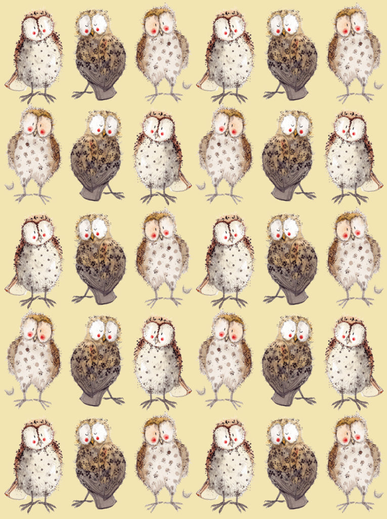 OWLS SMALL CHUNKY NOTEBOOK SCN14