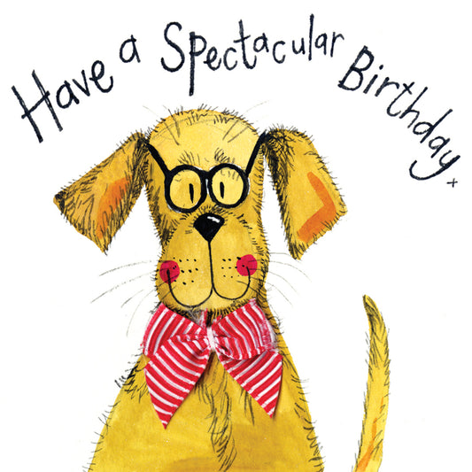 ALEX CLARK SPECTACLES BIRTHDAY CARD LS81 | 262086