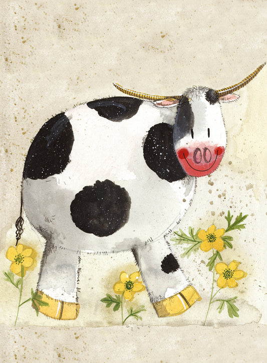 DOROTHY SMALL SPIRAL NOTEPADS SSN43