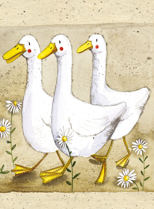 DILLARD, DUDLEY AND BILL SMALL SPIRAL NOTEPADS SSN45