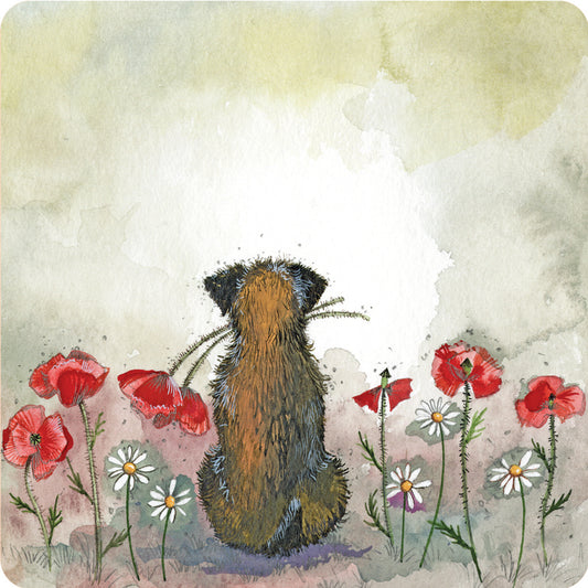 ALEX CLARK BORDER AND POPPIES COASTER C190 | 262177