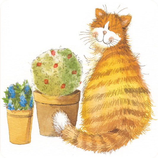 ALEX CLARK CATS WHISKER COASTER C173 | 262180