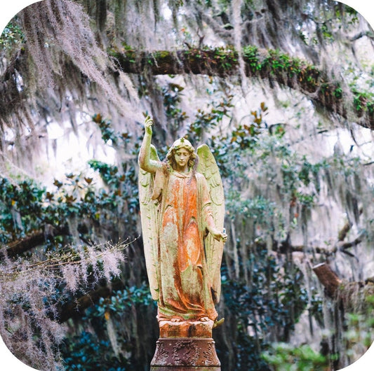 Savannah Georgia Angel Statue Surrounded by Moss Bonaventure Cemetery  Premium Drink Coaster Resin With Cork Backing 262258 75060 262258