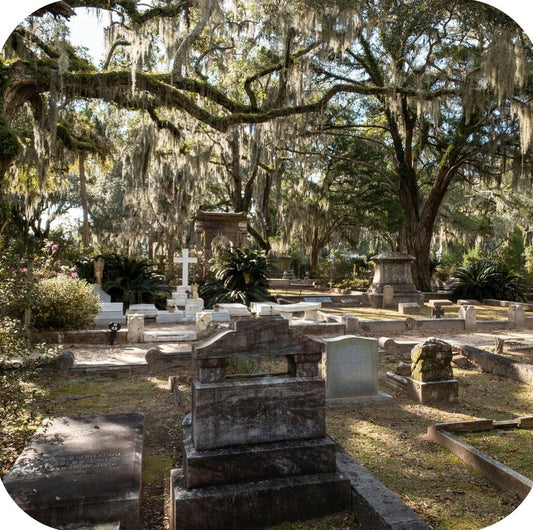 Savannah Georgia Historic Cemetery Headstones Canopied By Trees Filled With Moss Premium Drink Coaster Resin With Cork Backing 262264 75066 262264