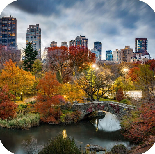 New York City Central Park During Autumn Premium Drink Coaster Resin With Cork Backing 262321 75123 262321