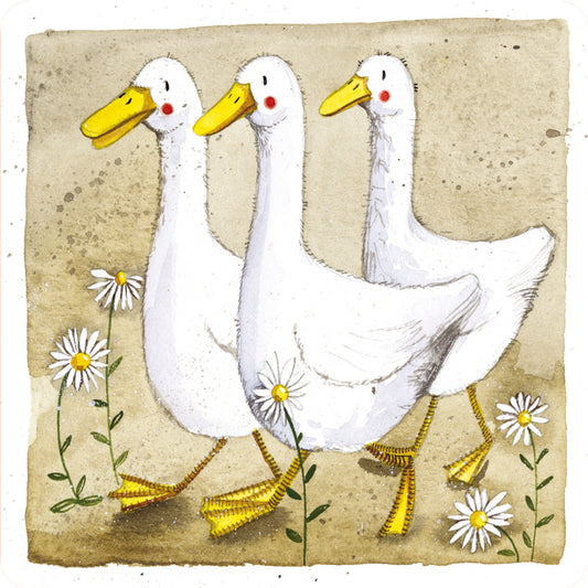 ALEX CLARK DILLARD DUDLEY AND BILL COASTER C201 | 262350