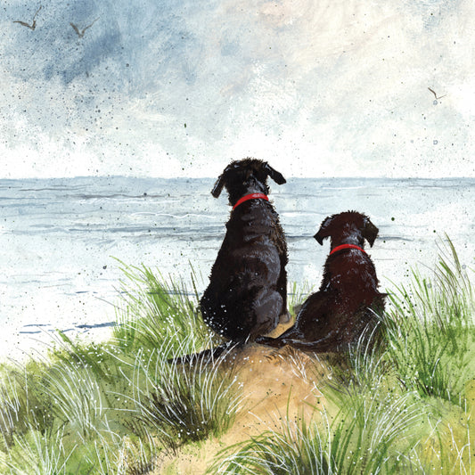 ALEX CLARK DUNES COASTER C146 | 262353