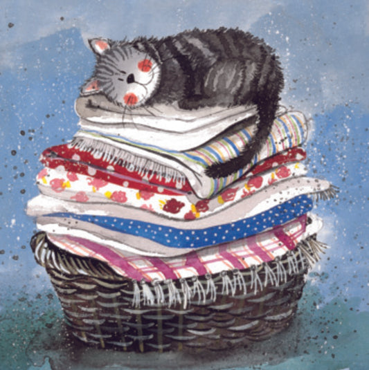 ALEX CLARK LAUNDRY BASKET COASTER C17 | 262385