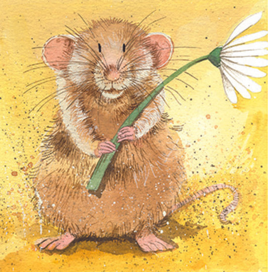 ALEX CLARK MALCOLM COASTER C54 262393