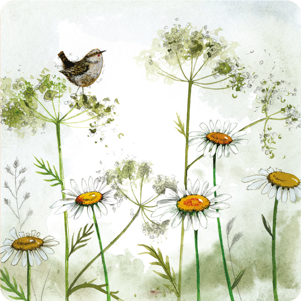 ALEX CLARK WREN AND COW PARSLEY COASTER C213 262395