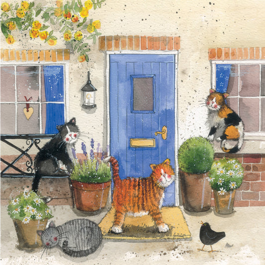 FRIENDLY FELINES BLANK CARD AC595