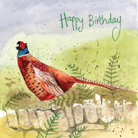 PHEASANT ON THE WALL BIRTHDAY CARD AC607