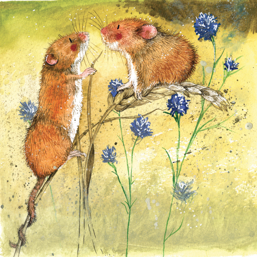HARVEST MICE BLANK CARD AC752