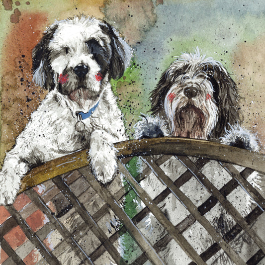 FENCE BLANK CARD AC793