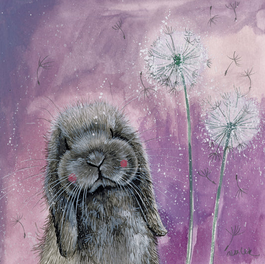 MISTY BLANK CARD AC800