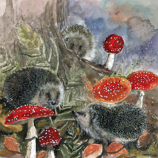 HEDGEHOGS BLANK CARD AC843