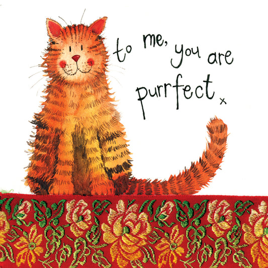 PURRFECT MISCELLANEOUS CARD LS98