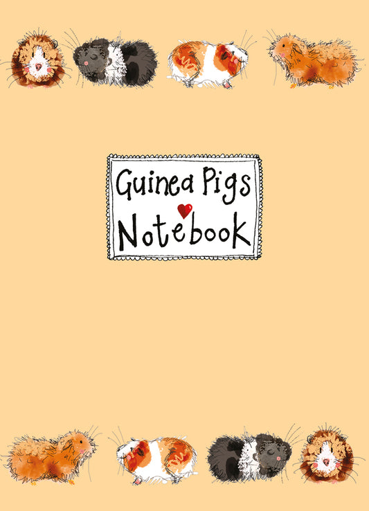 GORGEOUS GUINEA PIGS SOFT MEDIUM NOTEBOOK SNM13