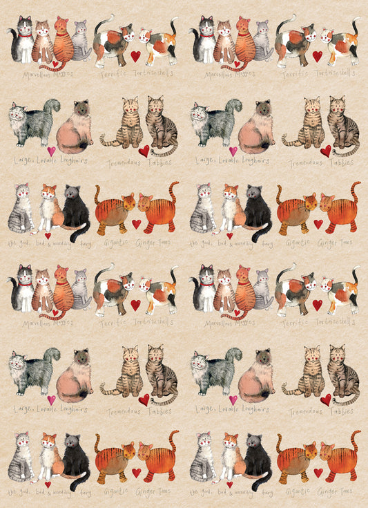 CAT LARGE SOFT NOTEBOOK SNL02