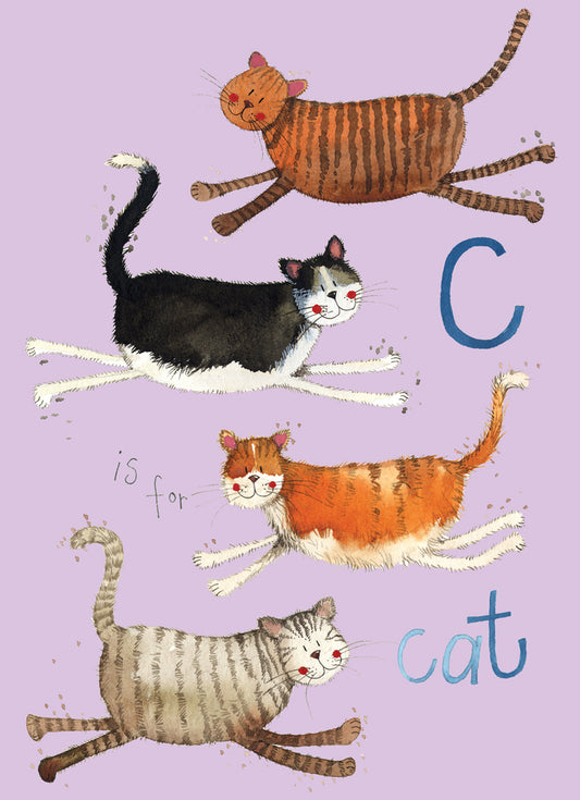 C IS FOR CAT SOFT LARGE NOTEBOOK SNL05