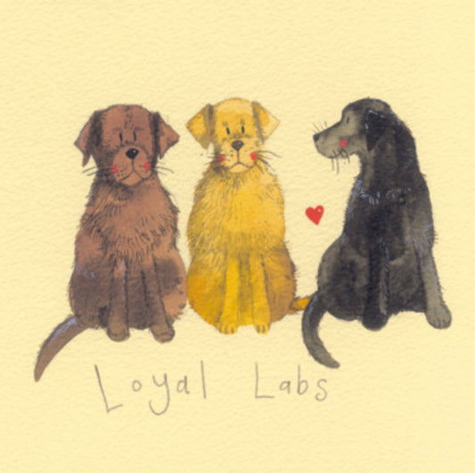 LOYAL LABS COASTER C10