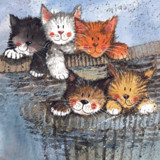 KITTENS COASTER C20