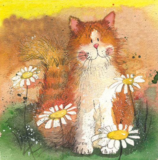 CAT AND DAISIES COASTER C27