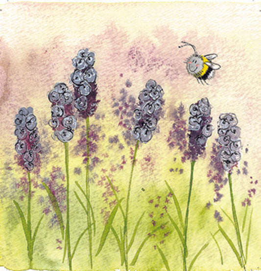 LAVENDER C65