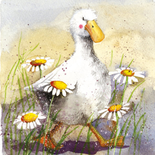 DUCK IN THE DAISIES COASTER C85