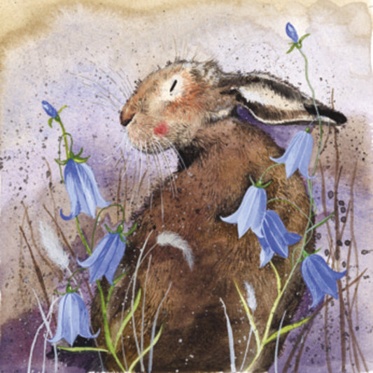 HARE AND BLUEBELL COASTER C87