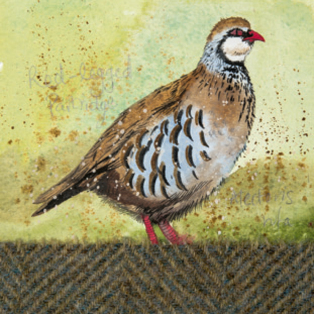 RED LEGGED PARTRIDGE COASTER C89