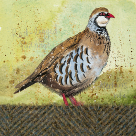 RED LEGGED PARTRIDGE COASTER C89