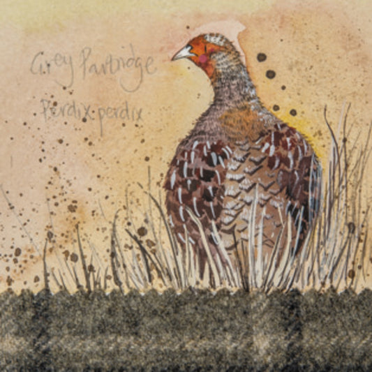 GREY PARTRIDGE COASTER C91