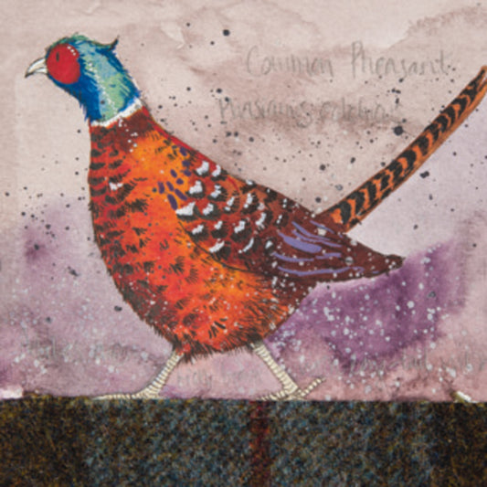 PHEASANT COASTER C92