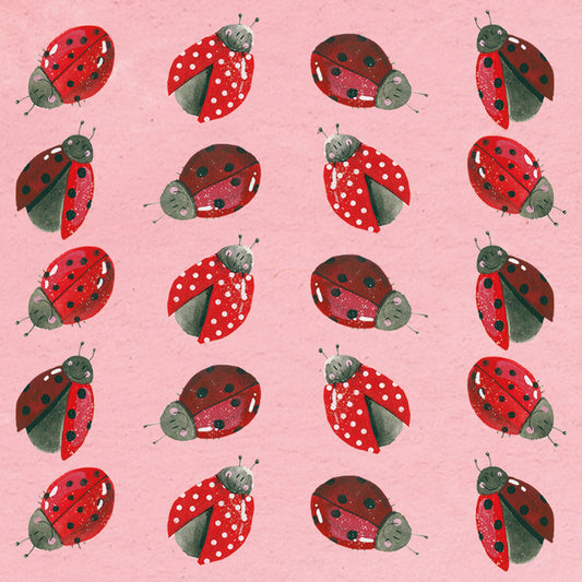 LADYBIRDS COASTER C97