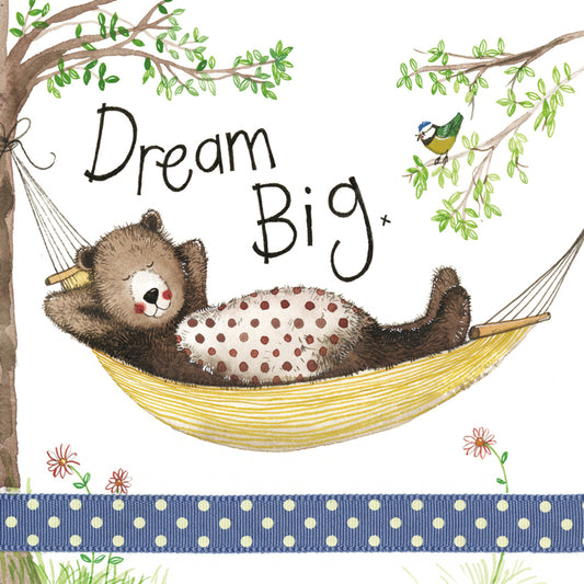 DREAM BIG COASTER C115