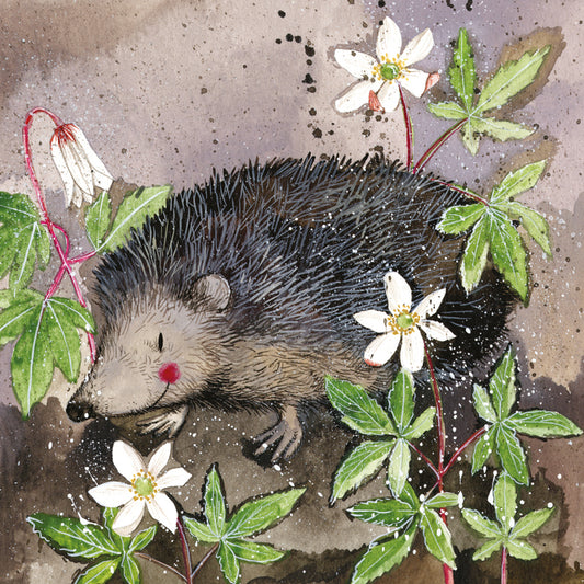 MR PRICKLY COASTER C121