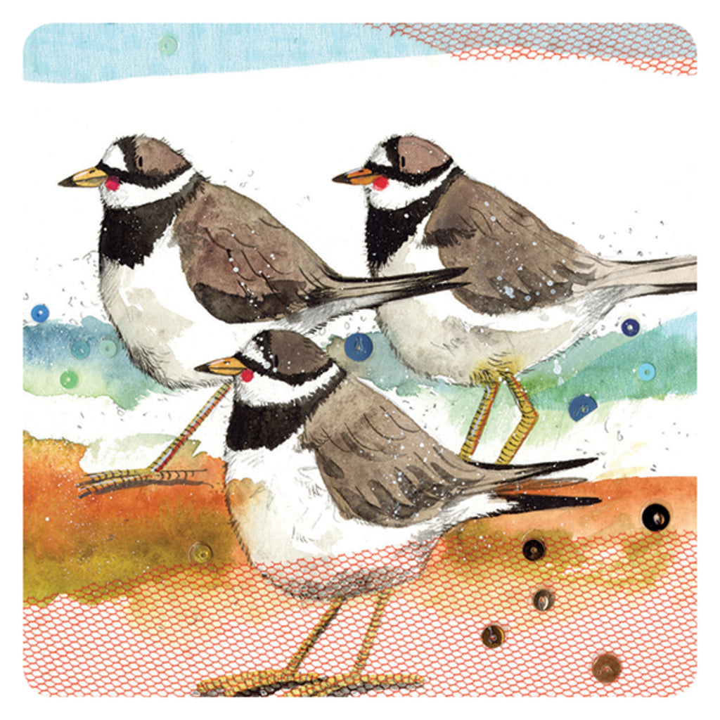 RINGED PLOVERS COASTER C132