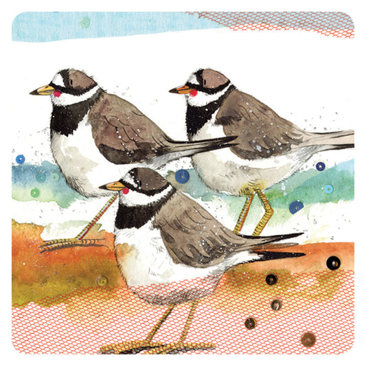 RINGED PLOVERS COASTER C132
