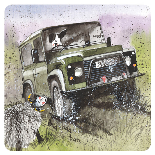 OFF ROADING COASTER C161