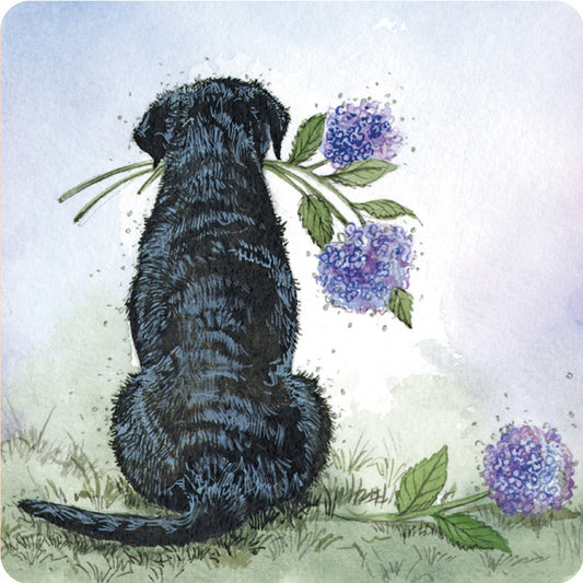 LABRADOR AND HYDRANGEAS COASTER C188