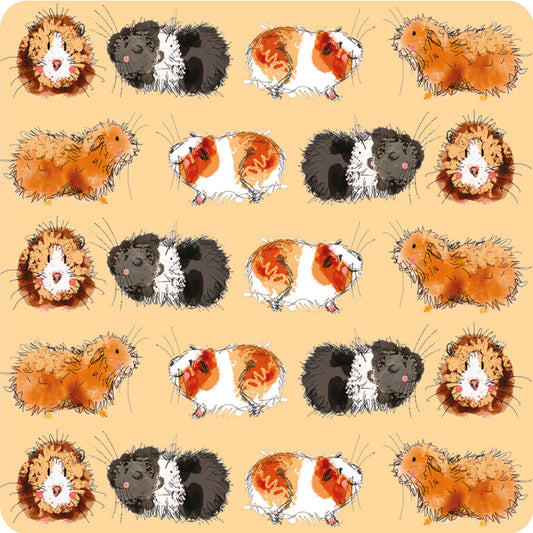 GUINEA PIGS COASTER C218