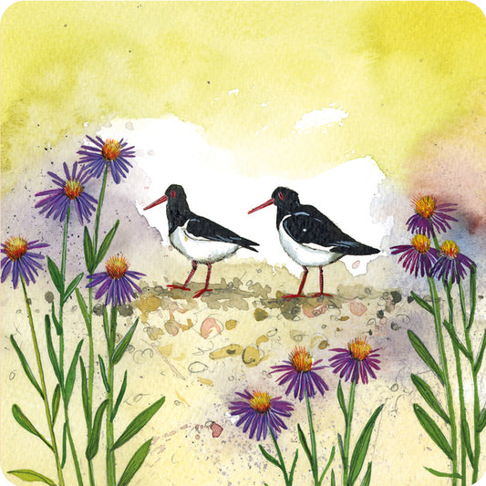 OYSTERCATCHERS COASTER C227