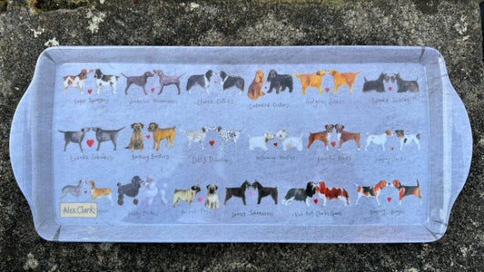 MEDIUM DOG TRAY MTY01