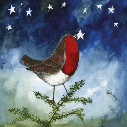 ALEX CLARK ROBIN AND STAR CHRISTMAS COASTER XC12 264668 XC12 264668